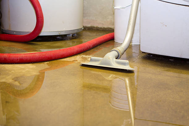 Best Professional water damage repair  in Hilmar Irwin, CA